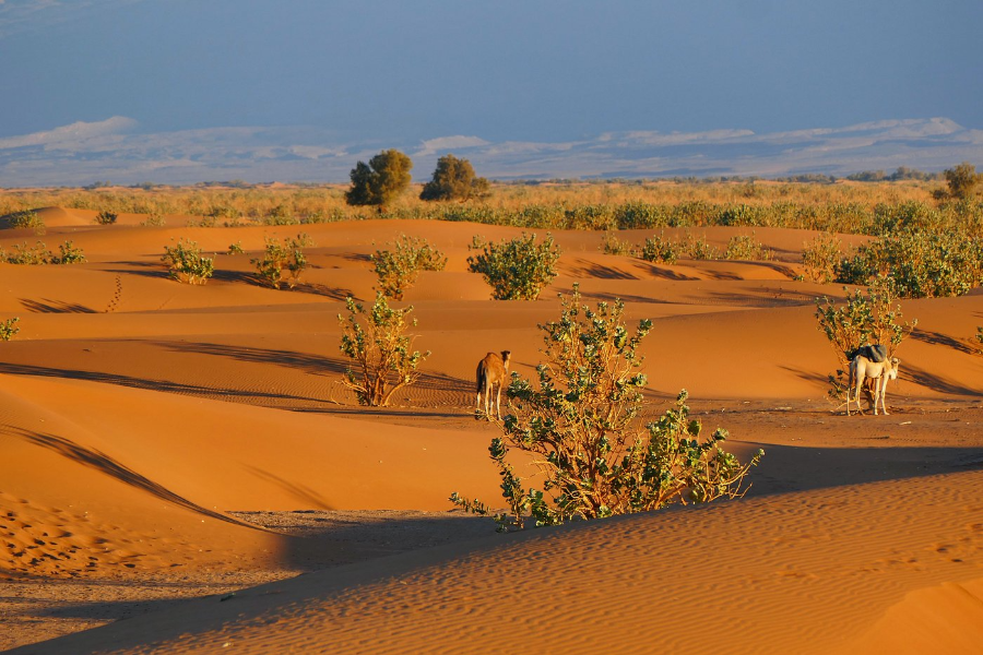 4-days-tour-from-the-souss-to-erg-chegaga-dunes-to-marrakech.webp