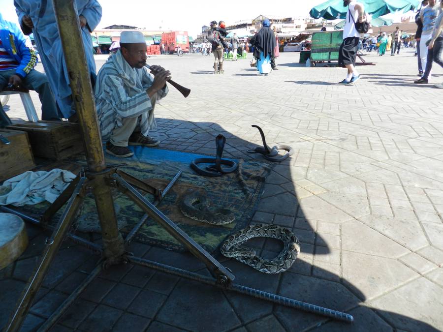 Explorez Marrakech Une JournÃ©e Ã  parti d'agadir