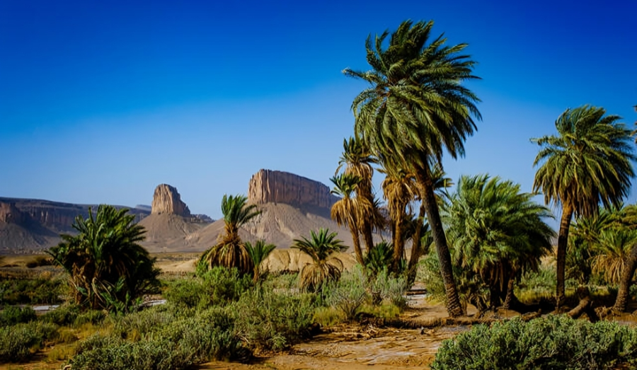 agadir-to-sahara-desert-trip-3-days-4x4-adventure.webp
