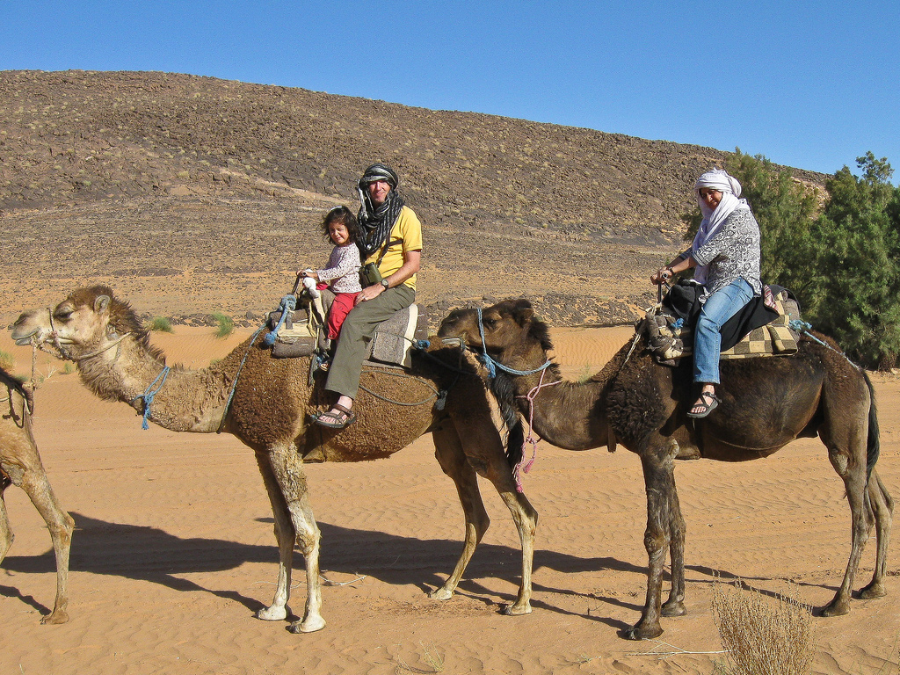 Camel-Ride-9-1548194029.webp