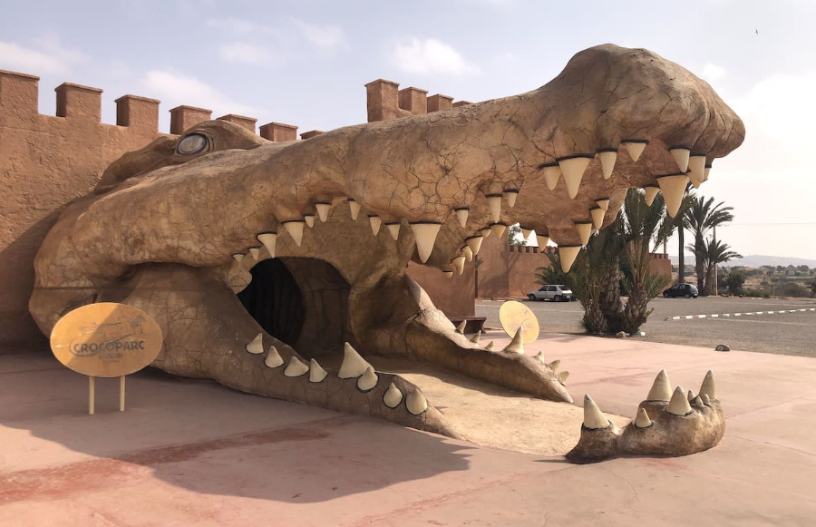 crocoparc-goats-in-the-argan-trees-from-taghazout-tour.webp