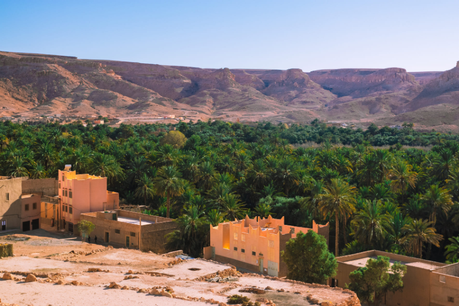desert-atlas-morocco-erfoud.webp