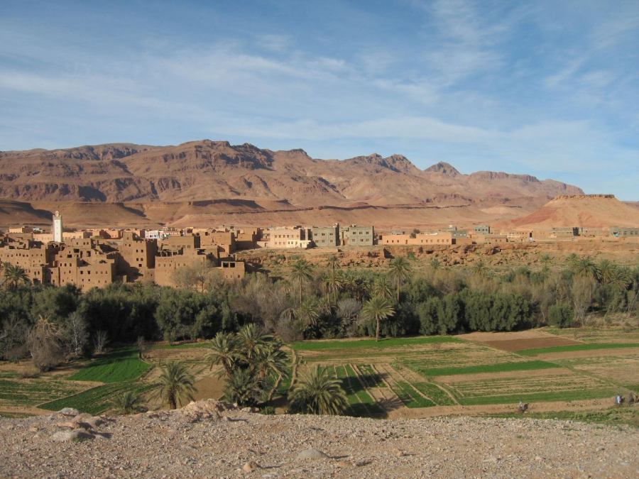 erfoudno.webp
