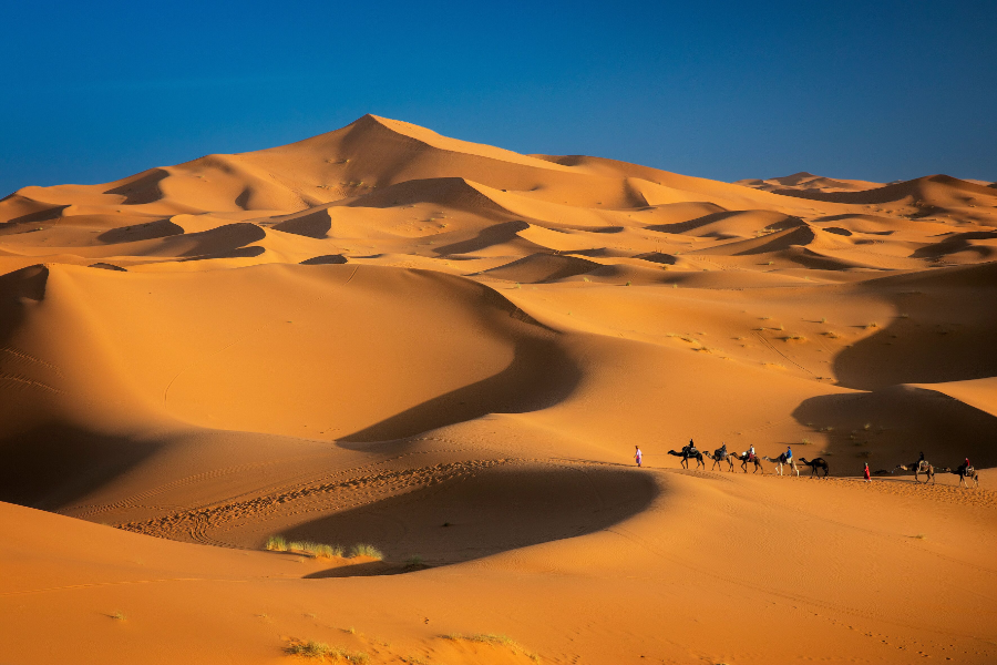 erg-chebbi-from-casablanca-to-the-merzouga-dunes-5-days.webp