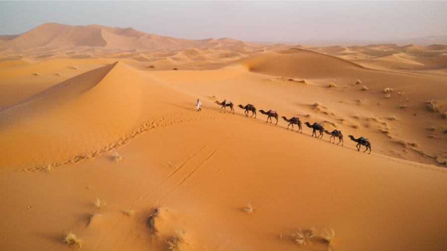 from-casablanca-to-the-merzouga-dunes-5-days-of-discovery-merzouga.webp