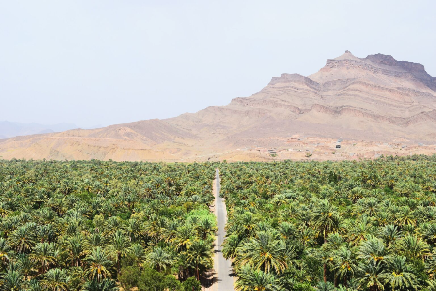 full-day-taroudant-tiout-oasis-excursion-from-taghazout.webp