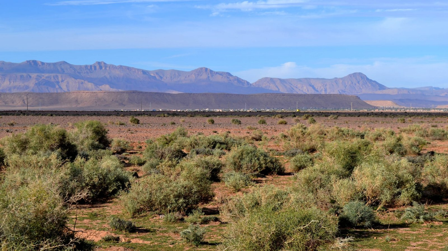 goulmima-fes-to-marrakech-4-days-desert-tour.webp