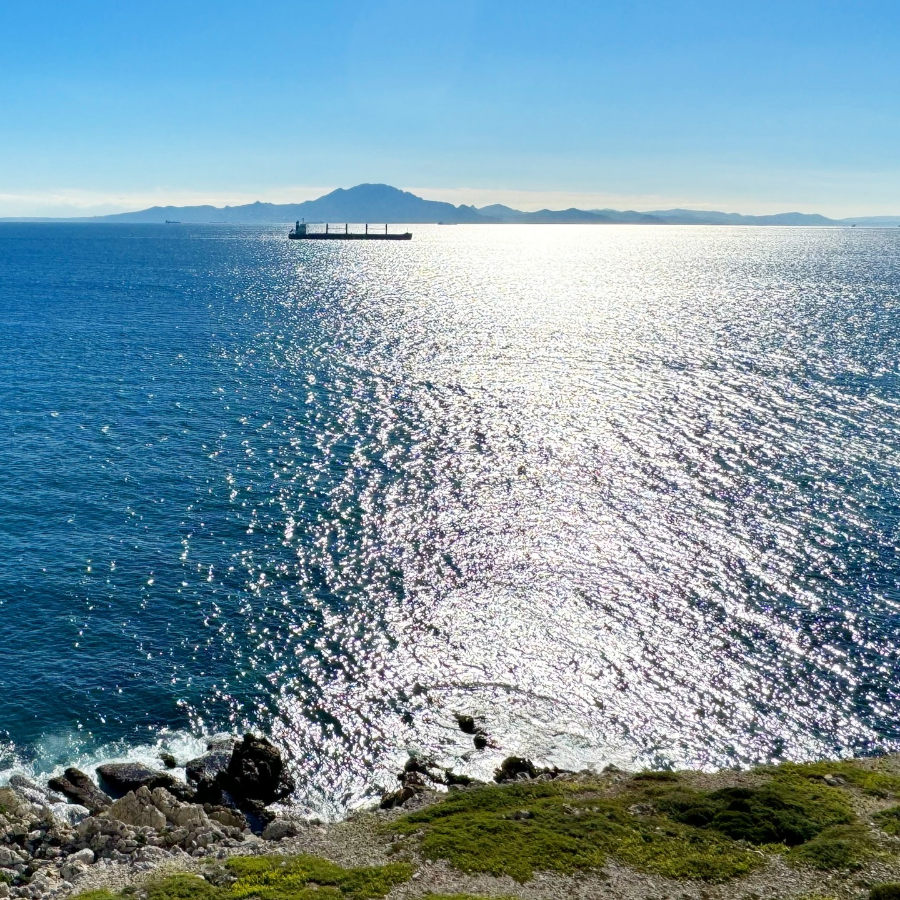 half-day-tangier-tour.webp