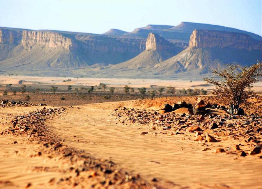 iriki-oasis - Copy.webp