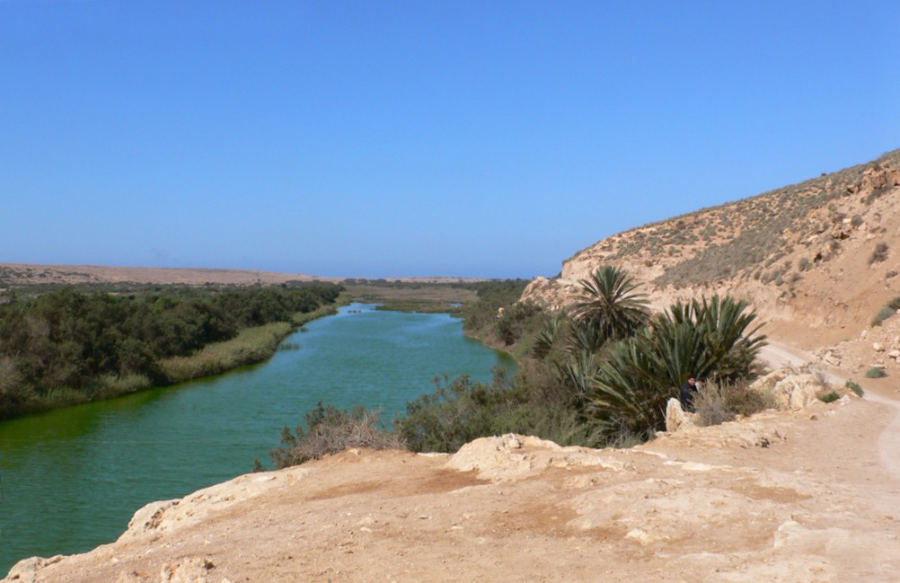 souss massa national park half day trip from taghazout