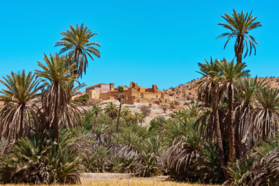 taroudant-and-tiout-oasis-day-journey-from-agadir.webp