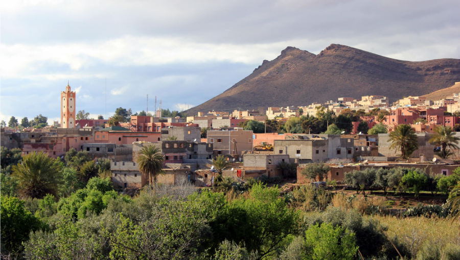 taroudant-and-tiout-oasis-from-agadir-day-tour.webp