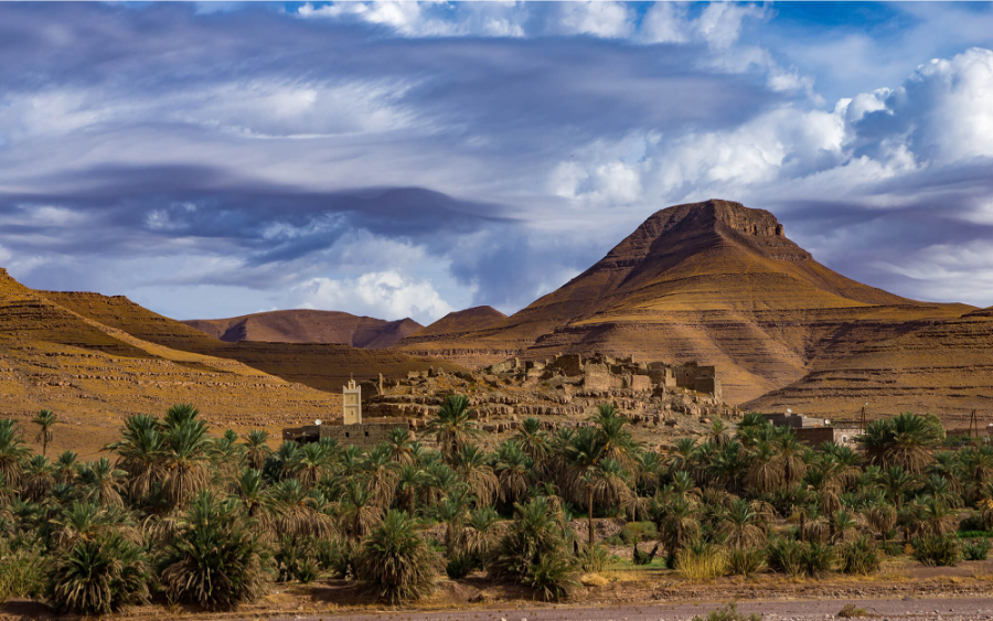 taroudant-tiout-oasis-tour-from-taghazout.webp