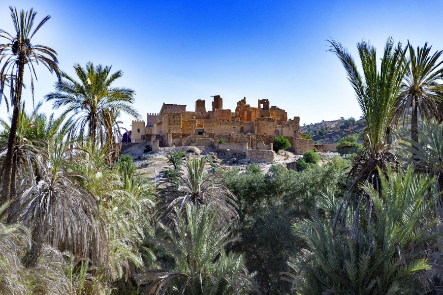 taroudant-tiout-oasis-trip-from-taghazout.webp