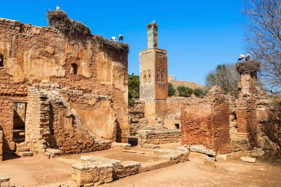 The-Chellah-in-Rabat-3.webp
