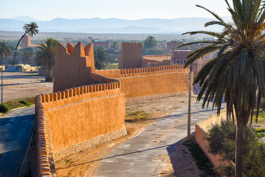 excursion à Tiznit depuis Agadir
