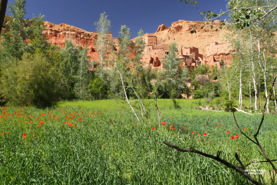 valley-of-the-roses-trek-village-morocco.webp